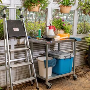 Elevate your kitchen efficiency with the DuraSteel NSF Stainless Steel Cart, featuring a heavy-duty rolling design and undershelf storage. Perfect for commercial restaurants, laundry, or outdoor use, this metal utility cart measures 24x36 inches.
