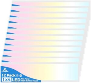 Here is the generated meta description:

"Dimmable LED lighting with 10-100% control, perfect for kitchens, garages, basements, or laundry rooms. Brighten up your space with this 12-pack of energy-efficient lights, offering a choice of 3000/4000/5000K color temperatures."