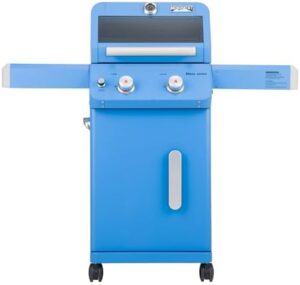 Cook up outdoor fun with the Mesa200B 2-Burner Gas Patio Grill featuring clearview lid, knob control and foldable shelves. Perfect for small gatherings, ideal dimensions and effortless cooking.