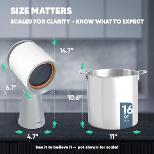 Here is the optimized SEO meta description:

"Boost kitchen ventilation with this compact range hood, featuring 3-speed suction and 2 double filters. Original low noise design with large oil collection cup, perfect for small kitchens."