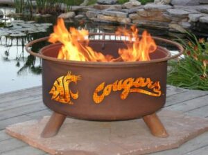 Here is the generated meta description:

"Add warmth and style to your outdoor gatherings with Patina Products' F216 fire pit, featuring a 30-inch diameter and durable construction. Perfect for Washington State Cougars fans!"