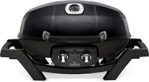 Here is the optimized SEO meta description:

"Upgrade your outdoor cooking with the Napoleon PRO285-BK Portable Propane Grill in black. Compact design, 285 sq inches cooking area, and adjustable heat control for perfect results every time. Get ready to grill all summer long!"