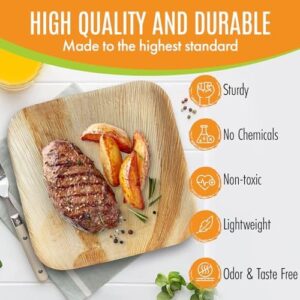Discover durable and eco-friendly Raj Palm Leaf Bulk Plates for your next outdoor event or party, with a compostable design perfect for weddings, birthdays, camping, and BBQs. Pack of 200 plates with 10 cases included.