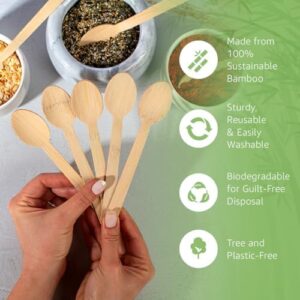 Discover the eco-friendly alternative to traditional utensils with this 100% bamboo spoons set, featuring 2400 compostable and reusable utensils for weddings, camping, or parties.