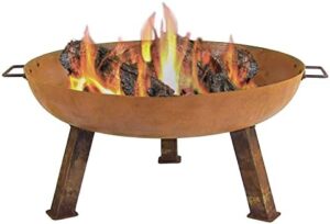 Here is the meta description:

"Enhance outdoor gatherings with Sunnydaze's 30-inch cast iron fire pit, featuring a heavy-duty design and oxidized finish. Perfect for wood-burning fun, this fire pit bowl comes with handles for easy transport."