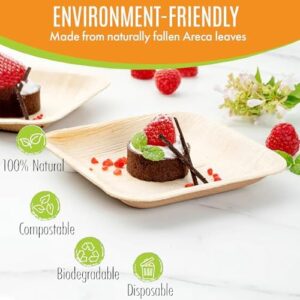Here is the optimized SEO meta description:

"Elevate your outdoor gatherings with Raj's unique palm leaf plates, perfect for weddings, picnics, and BBQs. Durable, eco-friendly, and disposable, this 1000-pack includes 6-inch plates in a natural finish."