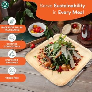 Here is the meta description:

Turn mealtime eco-friendly with ECO SOUL Compostable Palm Leaf Square Plates, biodegradable and microwave oven safe. Perfect for daily use (400 count) at an affordable price!