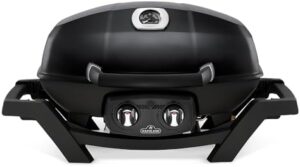 "Upgrade your outdoor cooking with this propane gas grill, featuring 2 burners, adjustable heat control and 246 sq. in. cooking surface. Perfect for family gatherings! Plus, get discounts on accessories and enjoy hassle-free maintenance."