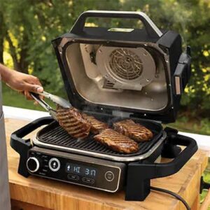 Here is the generated SEO meta description:

"Master your outdoor grilling with the Ninja OG751BRN 7-in-1 Woodfire Pro Grill, featuring built-in thermometer and versatile cooking options. Save on wood pellets and more!"