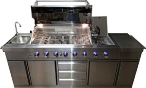 Here is the generated SEO meta description:

"Experience outdoor cooking with this 3-in-1 stainless steel BBQ island featuring a sink, side burner, LED lights, and canvas cover. Perfect for propane LPG use."
