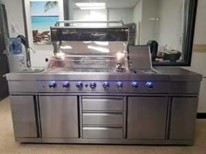 Here is the generated SEO meta description:

"Experience outdoor cooking with this 3-in-1 stainless steel BBQ island featuring a sink, side burner, LED lights, and canvas cover. Perfect for propane LPG use."