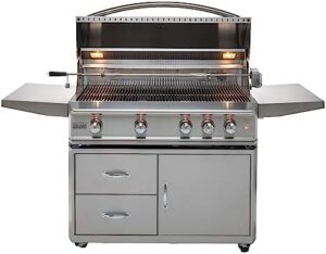 Here is the optimized SEO meta description:

"Transform outdoor cooking with this professional Blaze 4-Burner BBQ Grill, featuring a rear infrared burner and stainless steel construction. Perfect for entertaining and grilling up a storm!"
