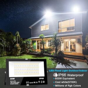 Here is the generated meta description:

"Enchant your outdoor spaces with this 800W equivalent LED flood light, featuring RGB color changing and DIY scenes. Perfect for timing and ambiance control, with US plug compatibility."