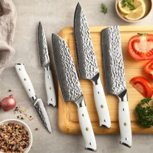 Discover the Wakoli Damascus Kitchen Knife Set, a 5-piece professional chef knife set featuring 67 layers of Damascus steel and VG10 core. Includes white G10 handles in gift box. Perfect for kitchen enthusiasts.