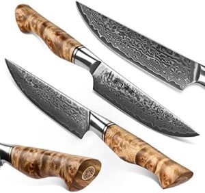 Discover the HEZHEN 6PCS Kitchen Knife Set, crafted with high-carbon steel and featuring figured sycamore wood handles. Includes porcelain gift package for a thoughtful present.