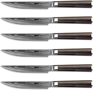 Elevate your cutlery game with this premium set of 6 Damascus steak knives, featuring Japanese VG10 core steel and a Pakka handle. Perfect gift!