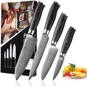 Discover the Wakoli 4 Piece Professional Damascus Kitchen Knife Set, featuring 67 layers of genuine Damascus steel and ergonomic micarta handles for precision and comfort.