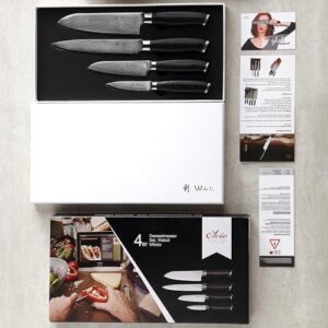 Discover the Wakoli 4 Piece Professional Damascus Kitchen Knife Set, featuring 67 layers of genuine Damascus steel and ergonomic micarta handles for precision and comfort.
