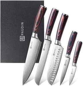 Elevate your kitchen skills with the PAUDIN 5-piece knife set, featuring ultra-sharp high-carbon stainless steel blades and Pakkawood handles. Perfect for everyday use and gifting.