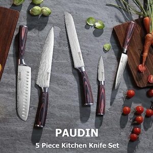 Elevate your kitchen skills with the PAUDIN 5-piece knife set, featuring ultra-sharp high-carbon stainless steel blades and Pakkawood handles. Perfect for everyday use and gifting.