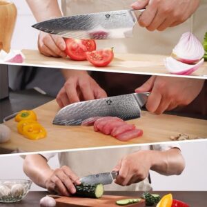 Discover the ultimate kitchen companion: WILDMOK's 3-piece Damascus Steel Chef Knife Set with ultra-sharp blades and durable resin handles. Perfect for professional chefs and home cooks alike!