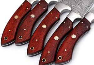 Here is the optimized SEO meta description:

"Upgrade your kitchen with this handmade Damascus Steel Blade 5-piece knife set, featuring professional chef knives and a leather case. Ideal for home cooks and chefs."