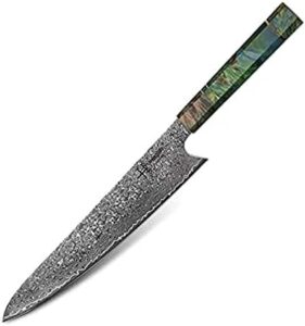 Here is the meta description:

Discover the Damascus Chef Knife's unique handle andVG10 67-layer Damascus steel, perfect for professional Japanese chefs. Sharp Gyuto knife with exceptional durability.
