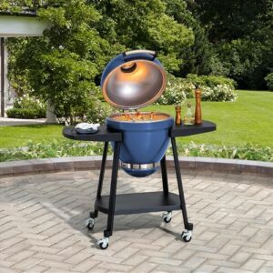 Discover the ultimate outdoor cooking experience with this Charcoal Grill 20-Inch Kamado Grill featuring a pizza stone and wheels for easy mobility. Perfect for backyard BBQs and smoking meat.