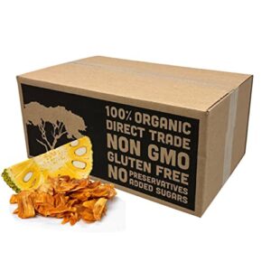 Here is the generated SEO meta description:

"Indulge in guilt-free snacking with Mavuno Harvest's unsweetened organic jackfruit chips, perfect for kids and adults. Gluten-free, vegan, and non-GMO, these healthy snacks are available in bulk 10 pounds."