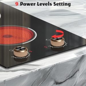 Here is the optimized meta description:

"Upgrade your kitchen with this versatile 2-burner electric cooktop featuring knob control, 9 power levels and over-temperature protection. Perfect for countertop or built-in installation."