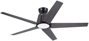 Upgrade your indoor ambiance with the Luminance Kathy Ireland Home Floret Eco Ceiling Fan featuring a DC motor and LED lighting. Damp rated for outdoor use, this modern fixture offers 5 blades and removable lighting in Barbeque Black.