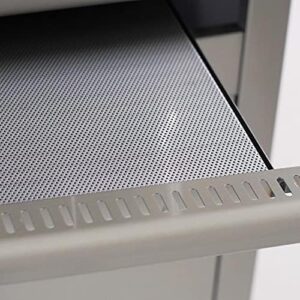 Protect your Blaze Pro LUX grill with the Blaze Drip Tray Flame Guard, featuring a durable design and easy cleanup. Perfect for outdoor cooking enthusiasts!