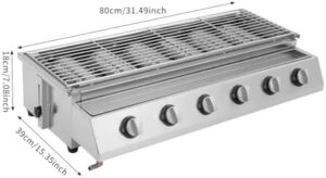 Here is the generated meta description:

"Unleash backyard barbecues with this 6-burner stainless steel gas grill featuring a lifting adjusting device. Perfect for parties, decks, patios and restaurants."